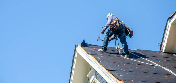 Best Roof Gutter Cleaning  in Conway, AR